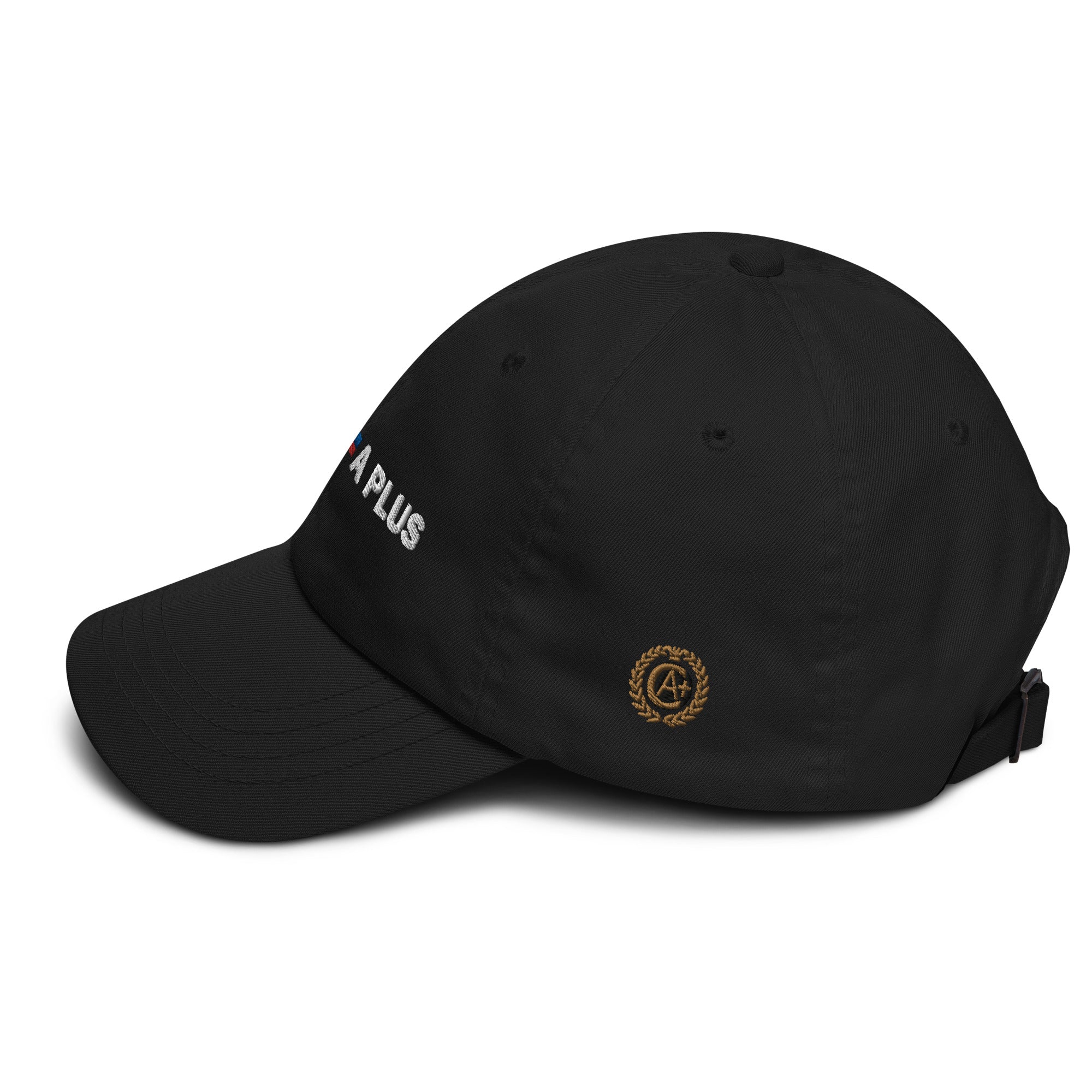 Certified Simple Logo Dad hat